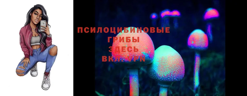 Галлюциногенные грибы Psilocybe  Серпухов 